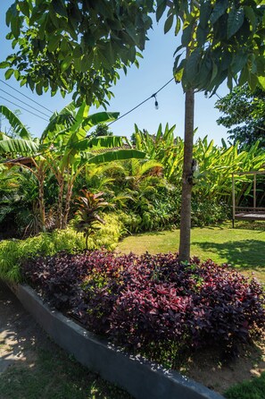Un jardín con una variedad de plantas, incluyendo árboles de plátano y un banco.
