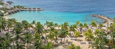 A beach with palm trees, lounge chairs, and a clear view of the ocean.