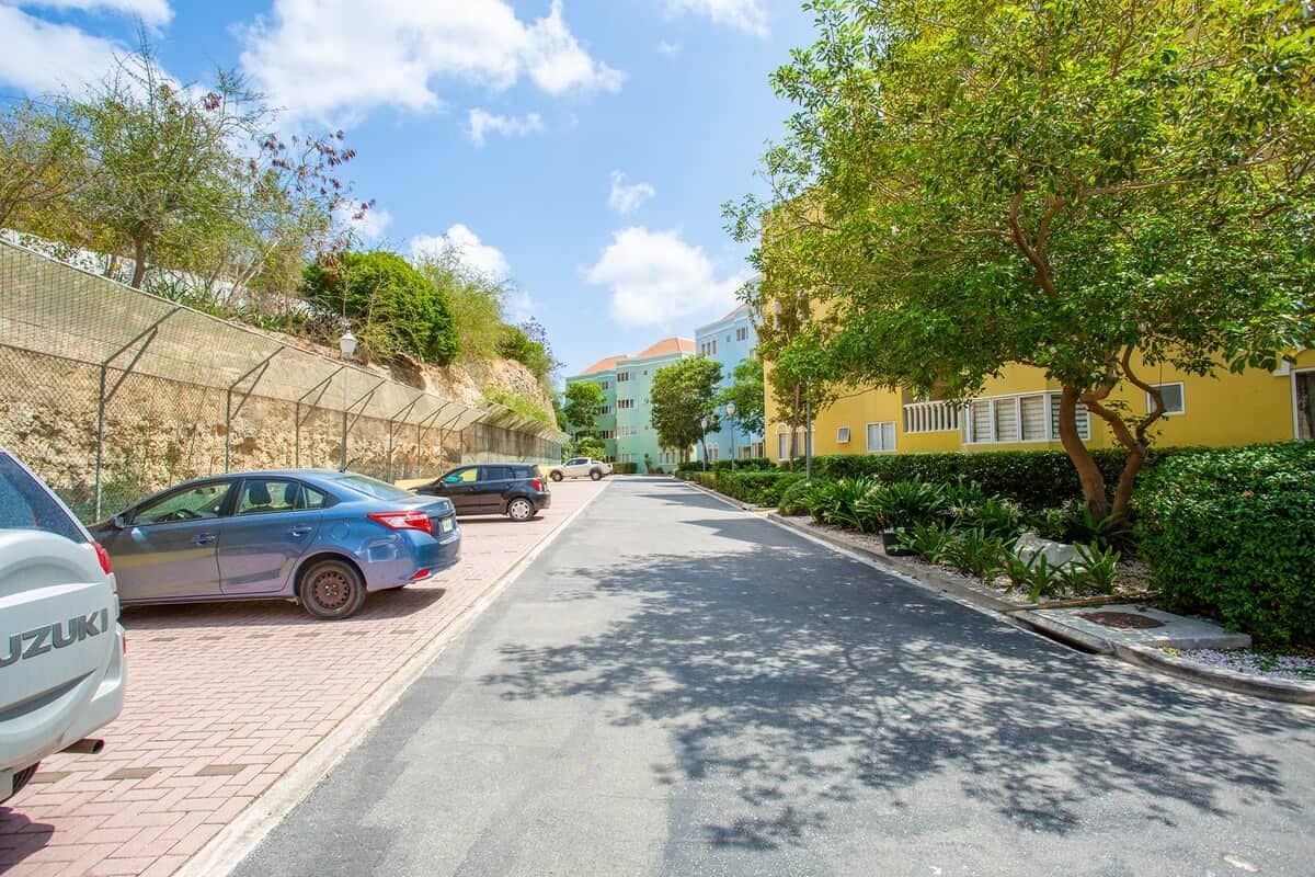 A street lined with parked cars and trees, with buildings on the right.
