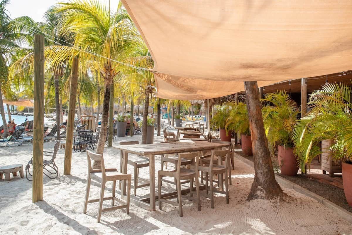 Un espacio al aire libre frente a la playa con mesas y sillas de madera, rodeado de palmeras y plantas en macetas.