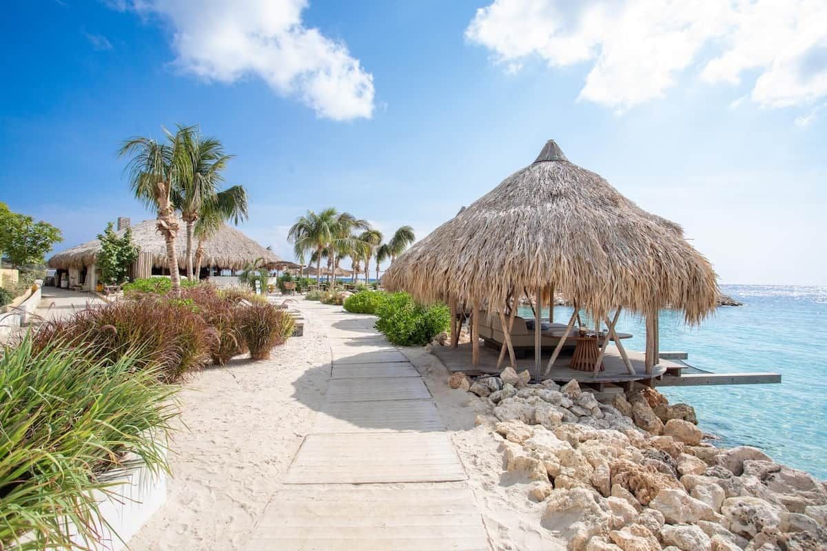 Un resort frente al mar con estructuras de techo de paja, un camino pavimentado y vistas al océano.