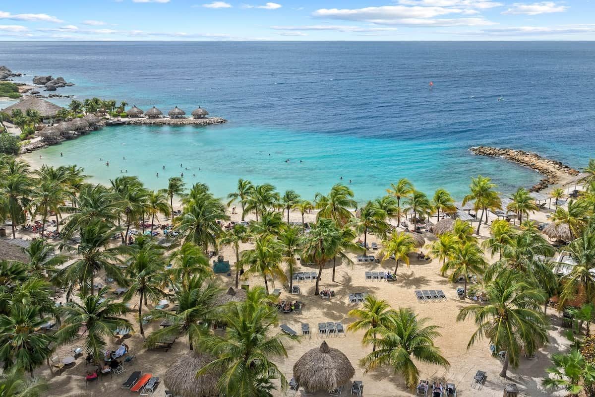 A beach with palm trees, lounge chairs, and a clear view of the ocean.