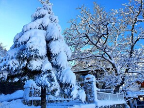 Un paisaje nevado con un gran abeto y un árbol sin hojas al fondo.