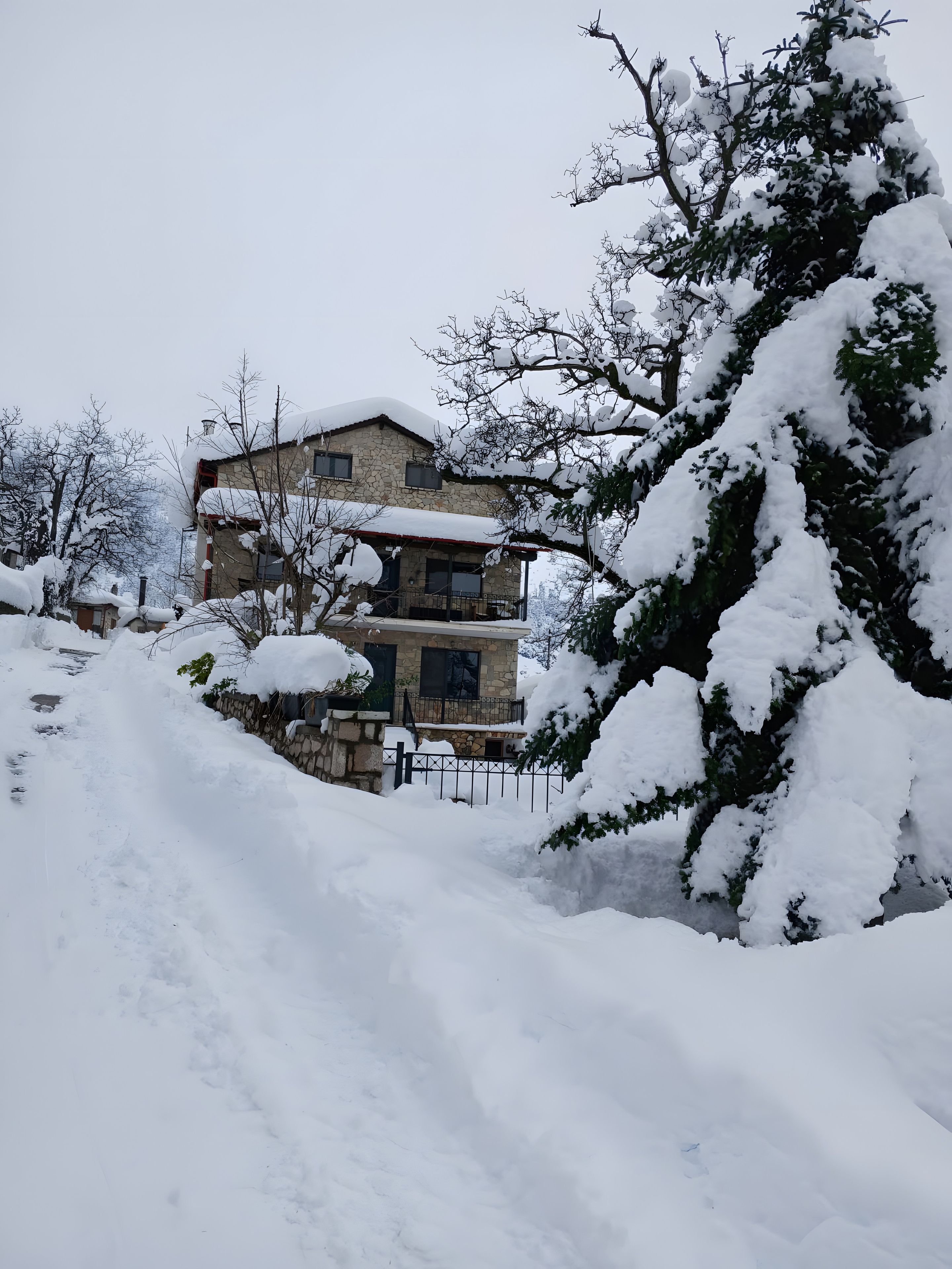 Un edificio de piedra con balcón, rodeado de árboles cubiertos de nieve.