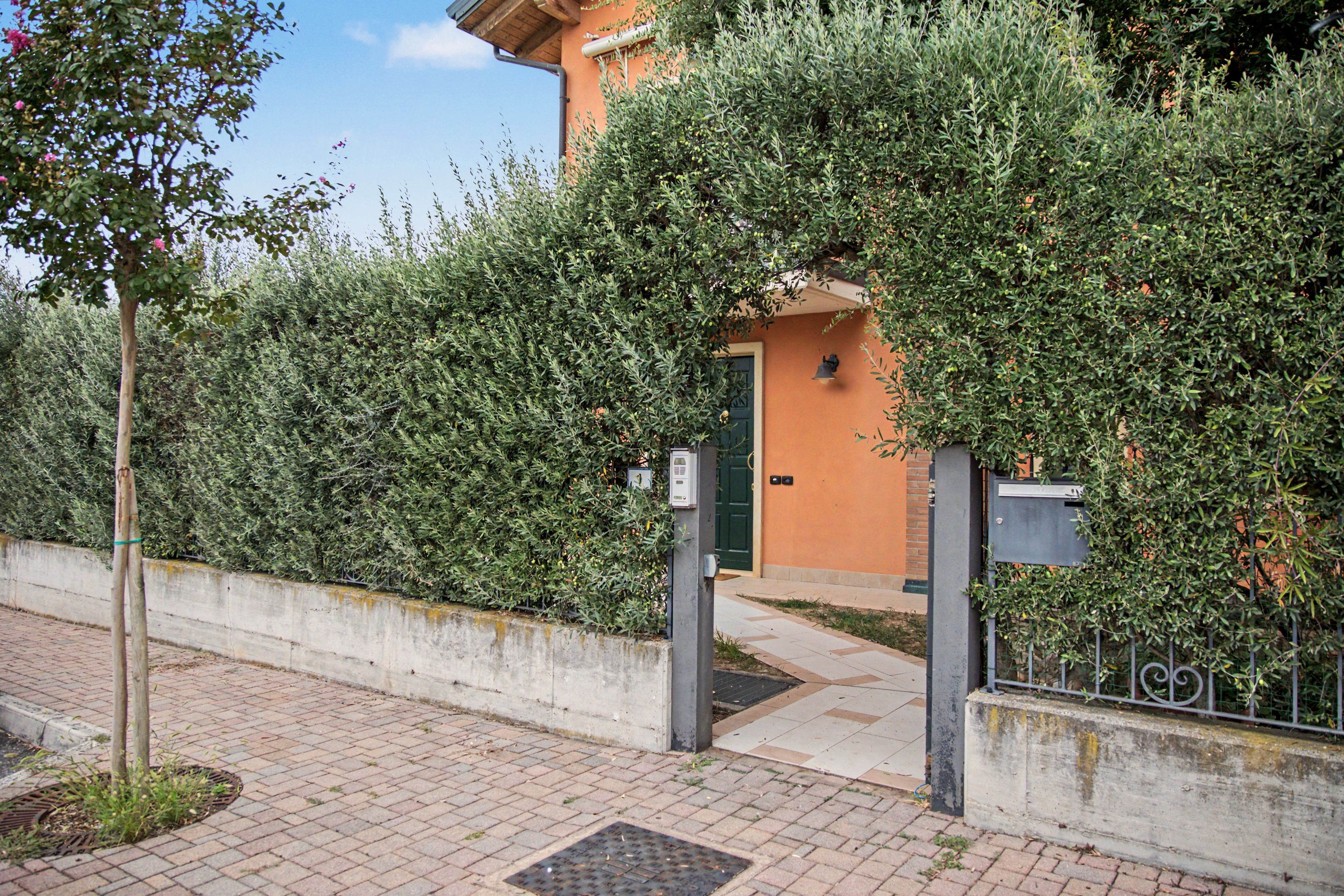A paved pathway leading to a building with a green door, surrounded by dense foliage.