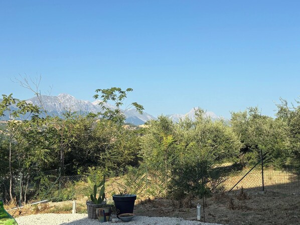 A garden with various plants and a fence, with a mountainous landscape in the background.