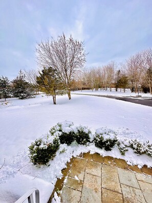 A snow-covered landscape with a paved pathway leading through a park with bare trees. - Cozy Retreat On The Eastside Estate (sleeps 4) (Greater Napanee)