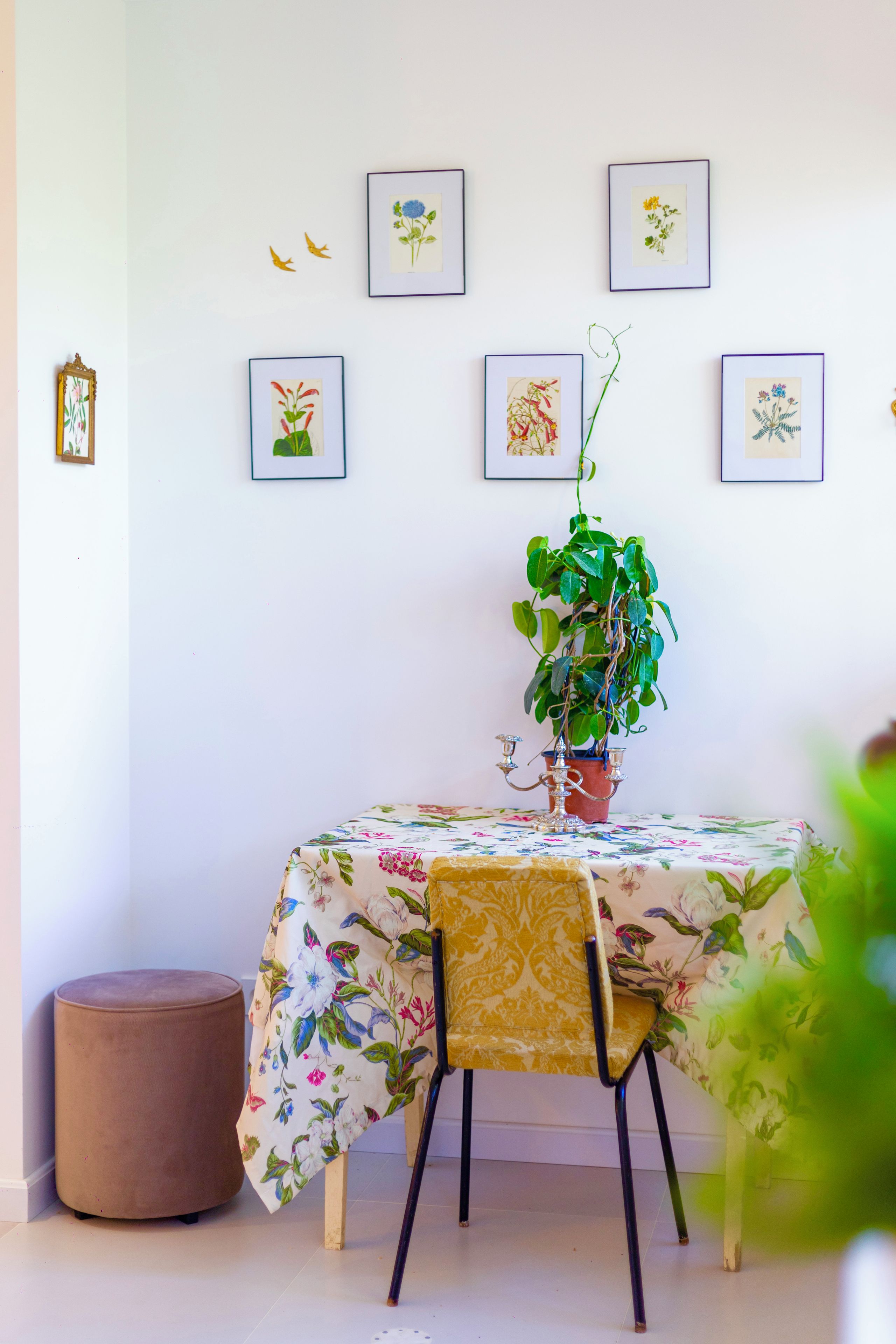 Un comedor con una mesa cubierta por un mantel floral, una planta en maceta y una silla.