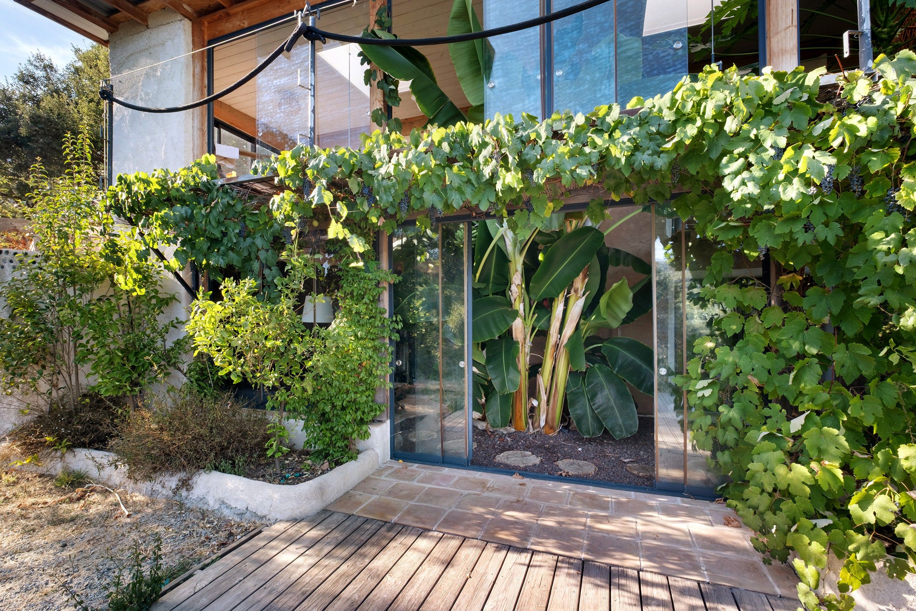 Une maison moderne dotée d’une terrasse en bois, d’une véranda en verre et d’une variété de plantes, notamment des vignes.