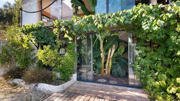 Una casa moderna con una terrazza in legno, una veranda in vetro e diverse piante, tra cui viti.