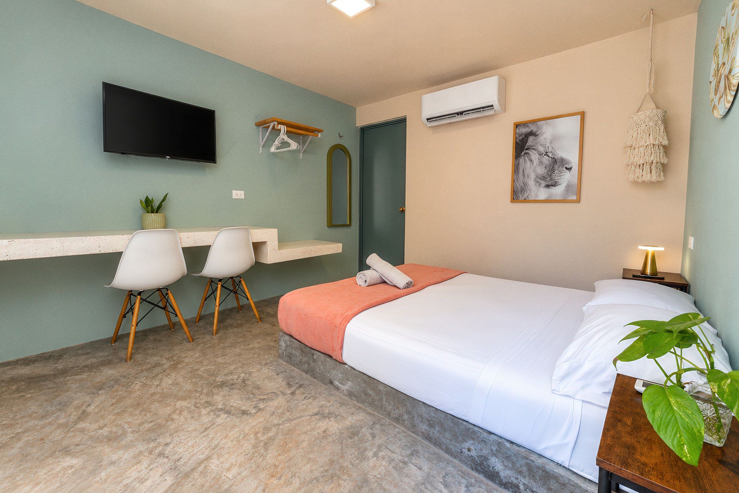 A room with a bed, a desk, two chairs, a television, an air conditioning unit, a mirror, and a wall-mounted plant.
