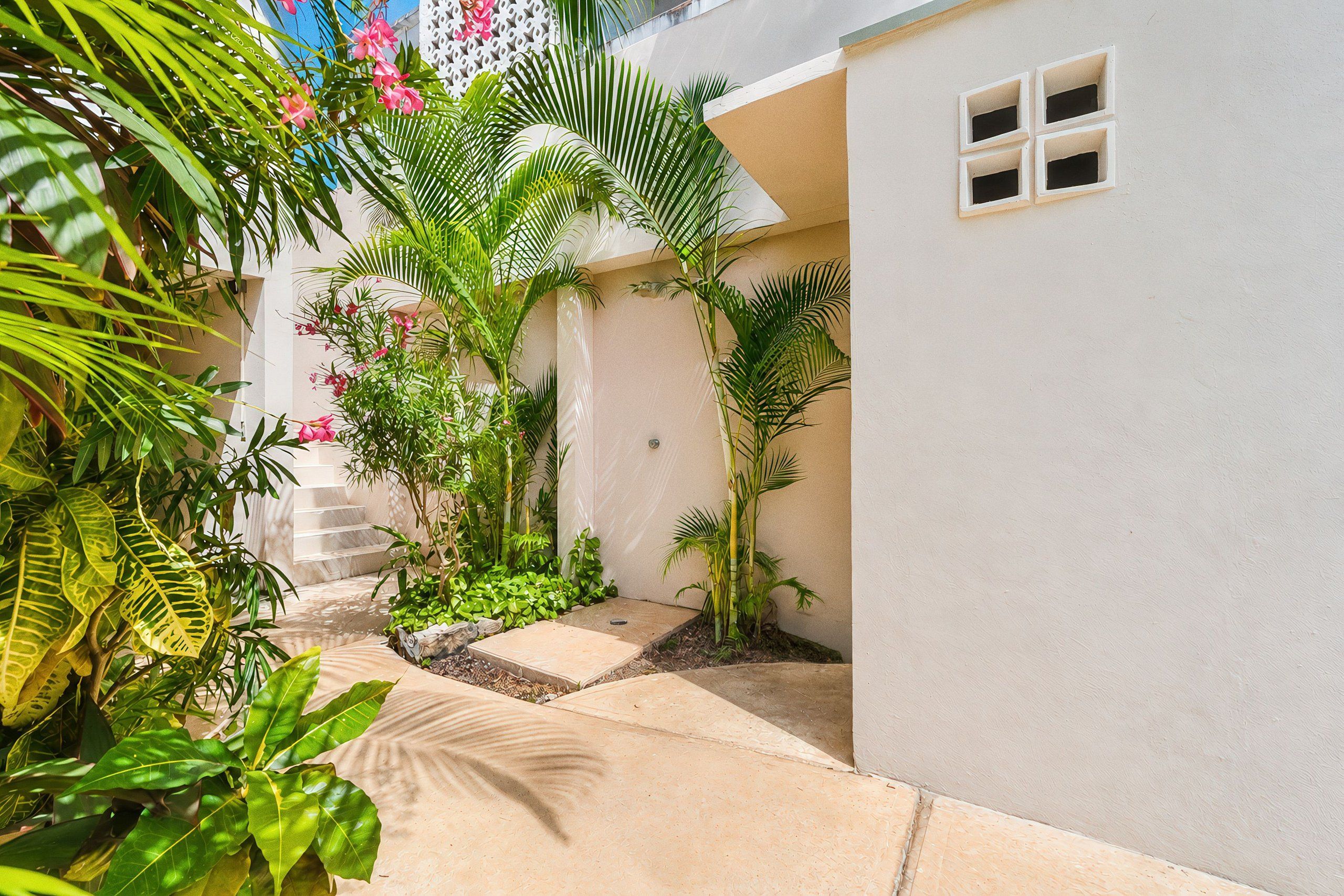 Um caminho estreito ladeado por plantas tropicais exuberantes e um prédio branco com uma janela.