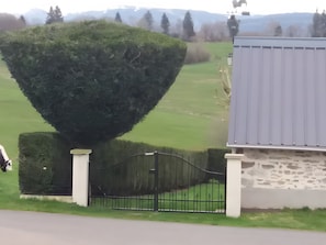 A fenced property with a well-maintained lawn, a stone building, and a large hedge.