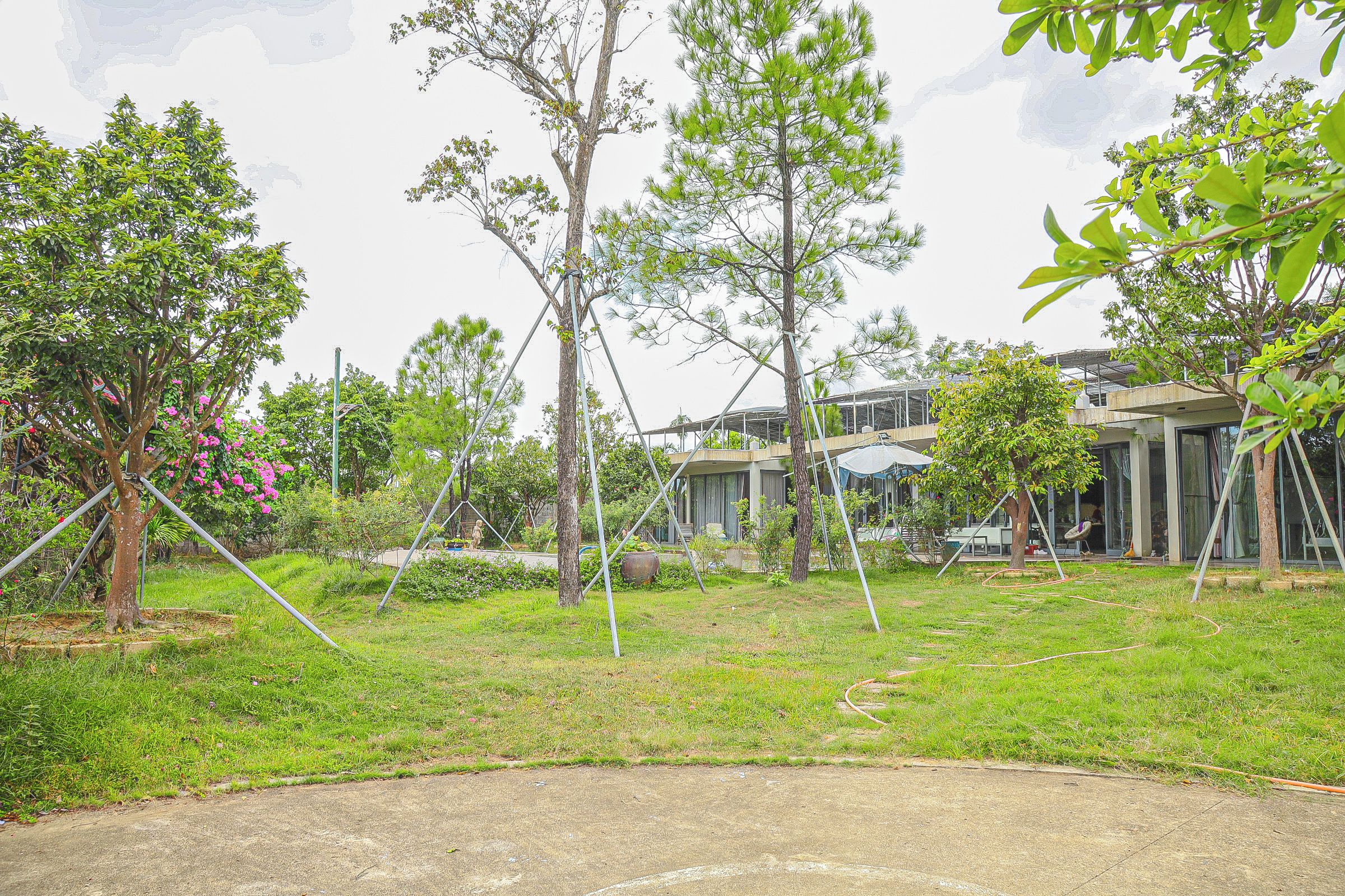 A residential area with multiple trees, a paved area, and a modern building with large windows.