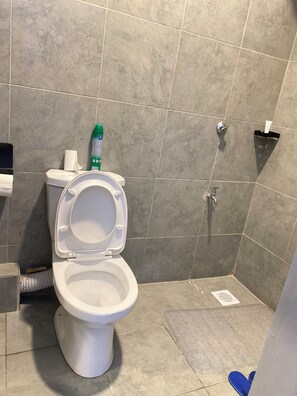 A bathroom with a white toilet, a green bottle, and a white paper towel holder. - Studio apartment at Tsavo sunset (Kiambu)