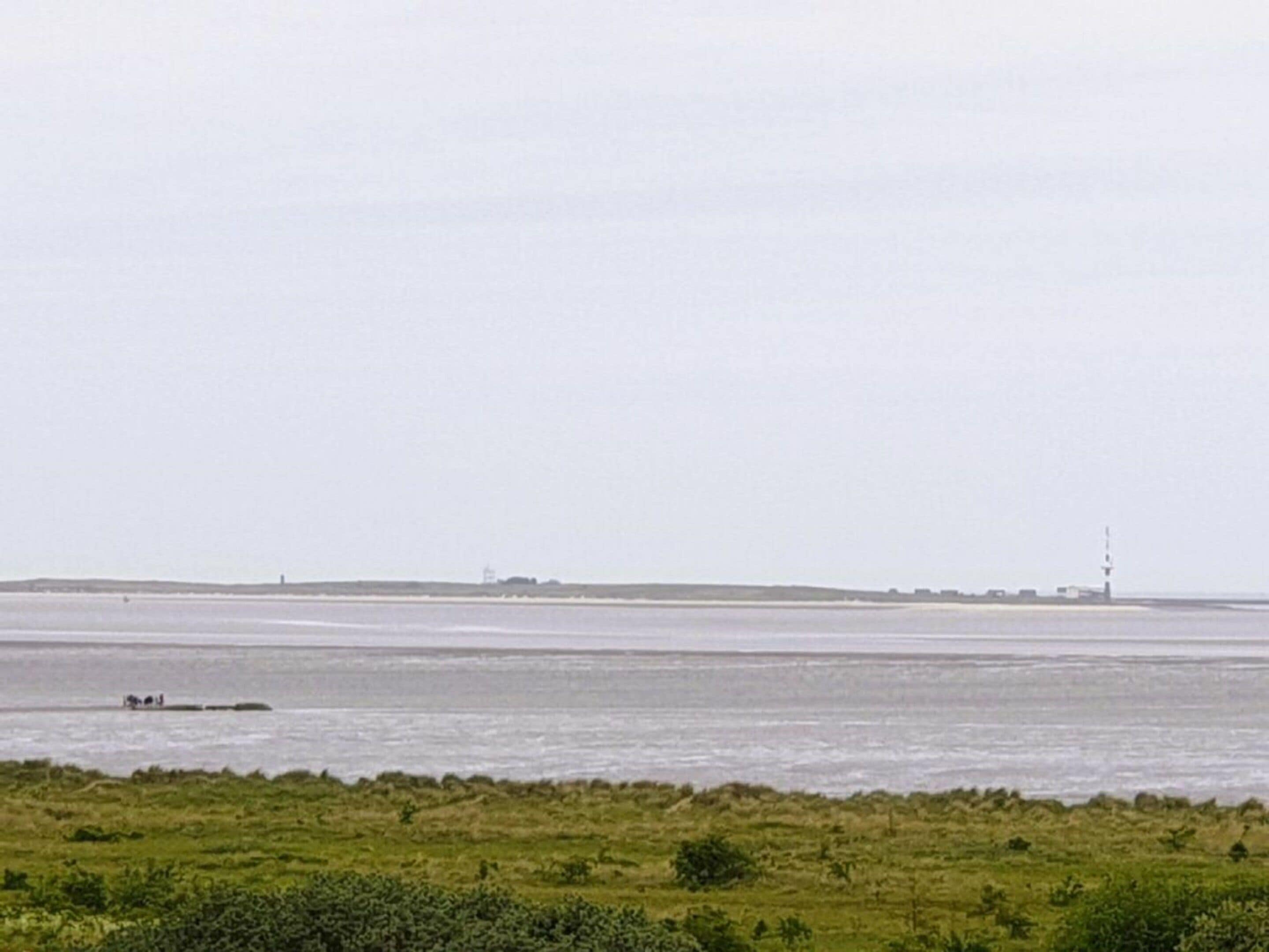 A coastal landscape with a lighthouse in the distance, a body of water, and a grassy foreground.