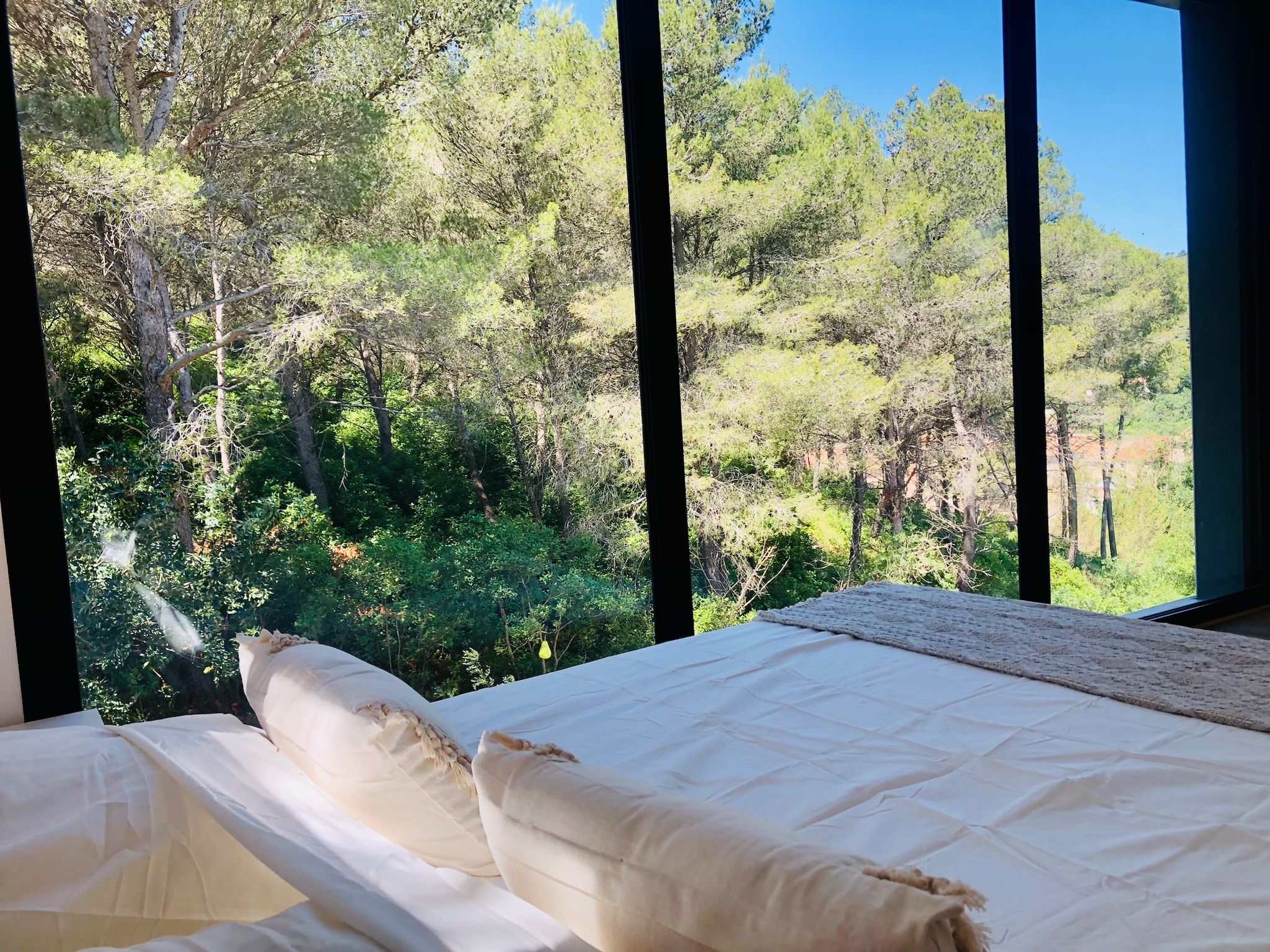 Ein Bett mit weißen Leinen und Kissen, Blick auf einen Wald durch große Fenster.