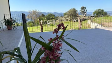 Un balcone con una pianta in vaso e vista su un giardino recintato e montagne lontane.