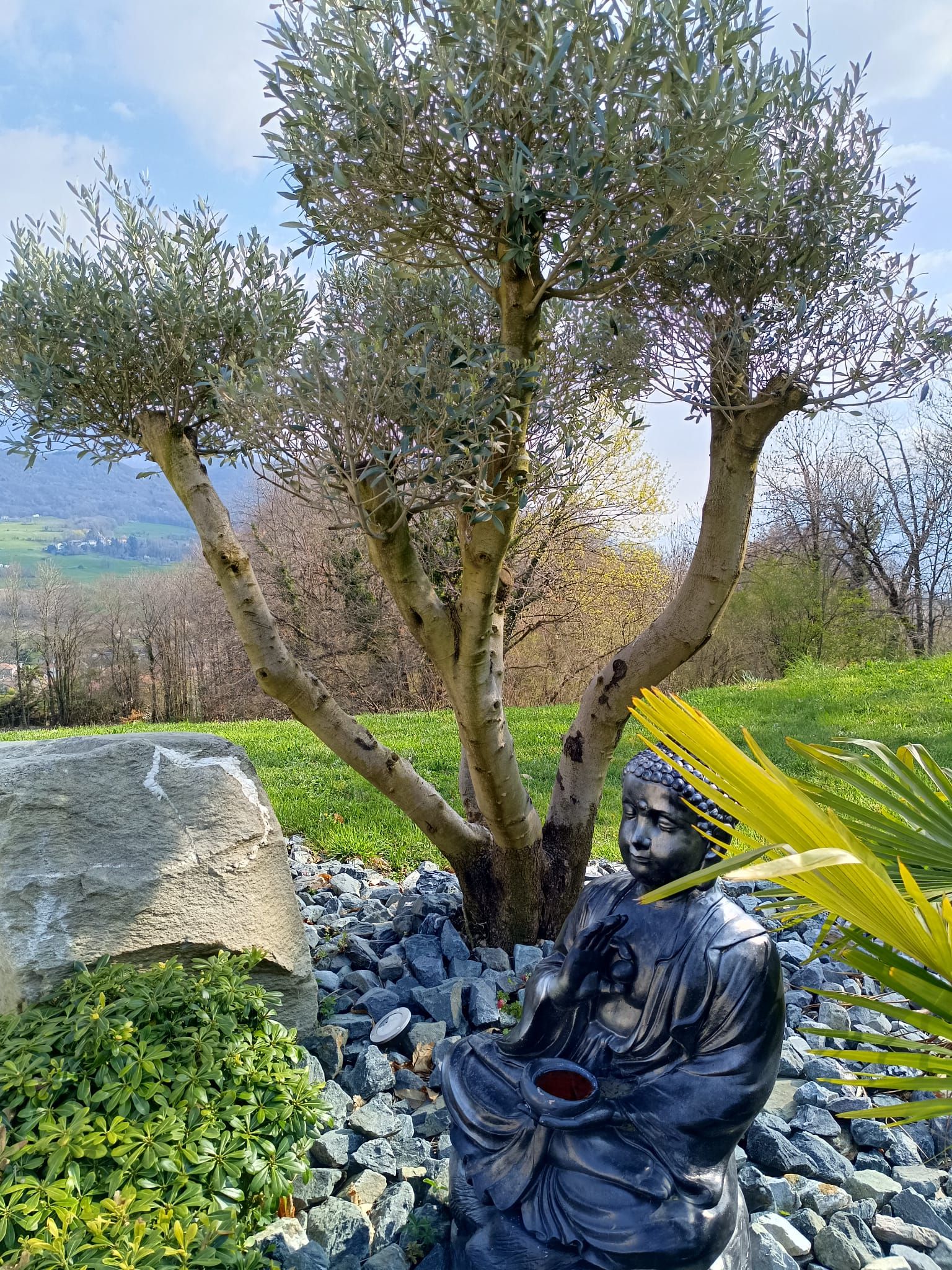 A statue of a seated figure with a tree behind it.