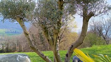 A statue of a seated figure with a tree behind it.