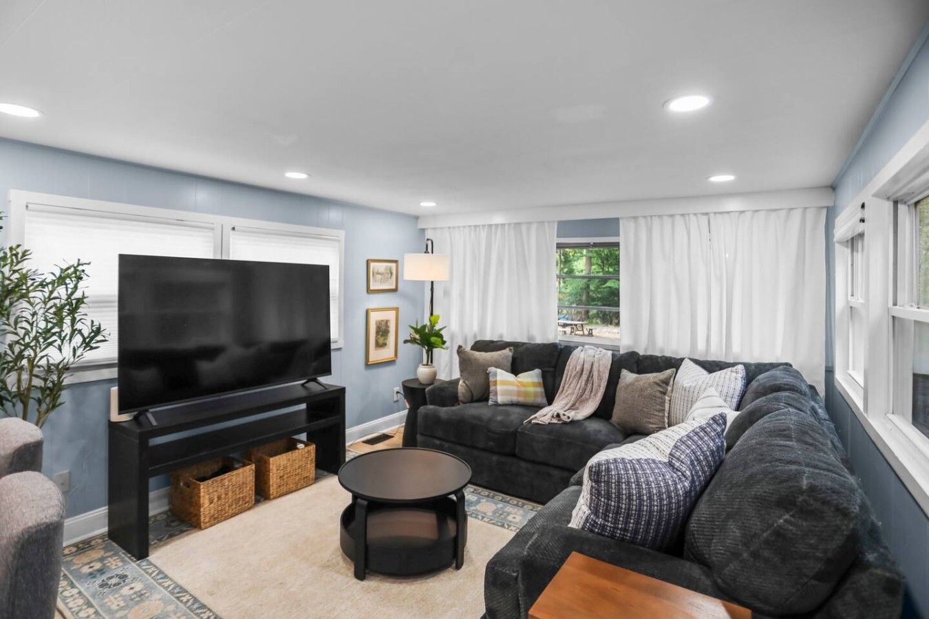 A living room with a flat-screen TV, a dark-colored sofa, a coffee table, and a potted plant.