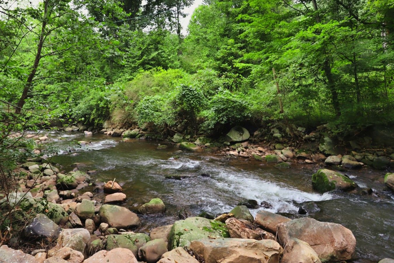 Un paysage naturel avec une rivière sinueuse, bordé de rochers et d’une végétation luxuriante.