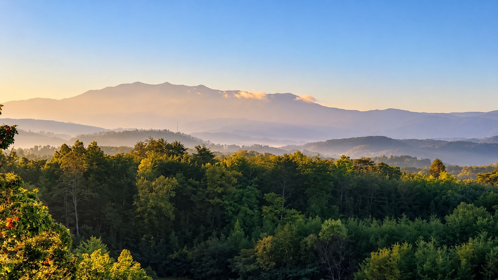 Un paysage boisé avec une chaîne de montagnes à l’horizon.