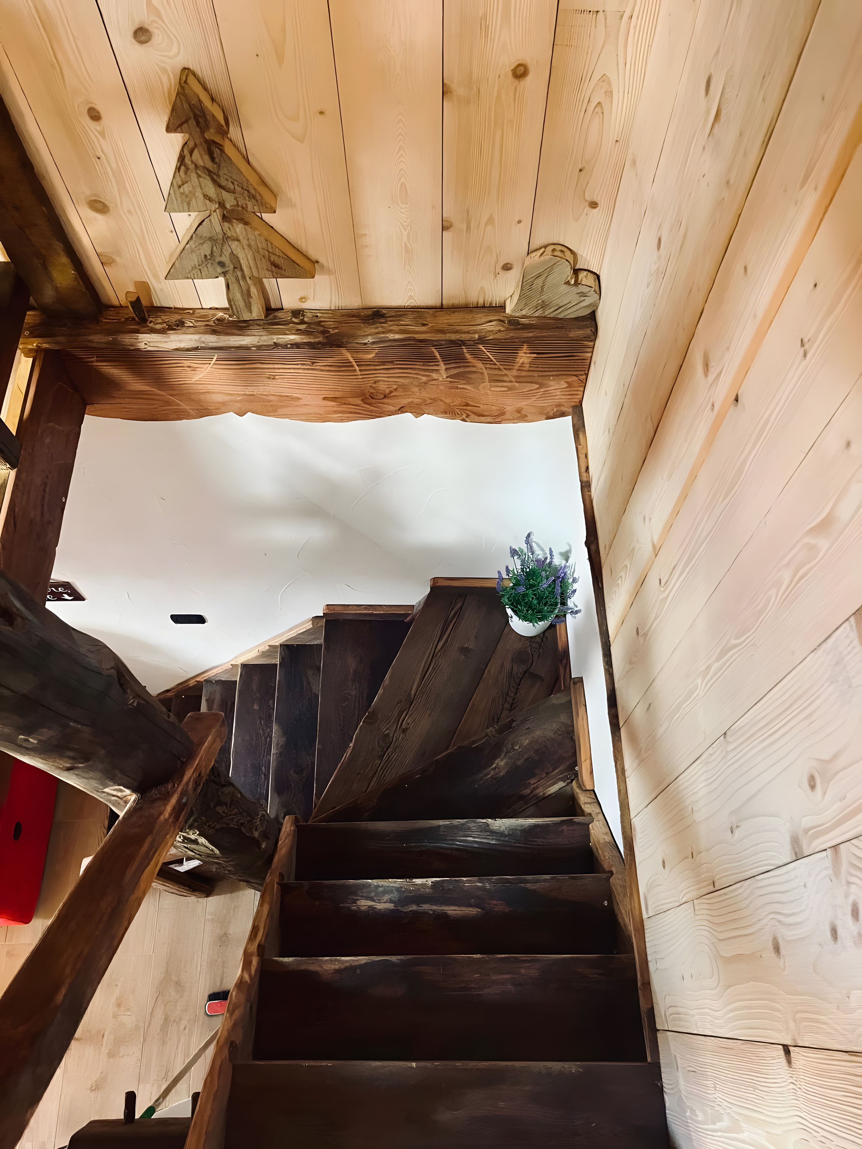 Una escalera de madera con barandilla y una planta colgante.