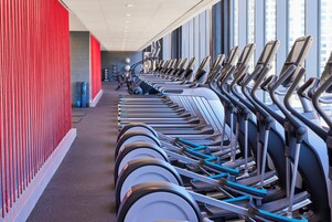 Varias bicicletas estáticas en un gimnasio con pared roja y ventanas grandes.