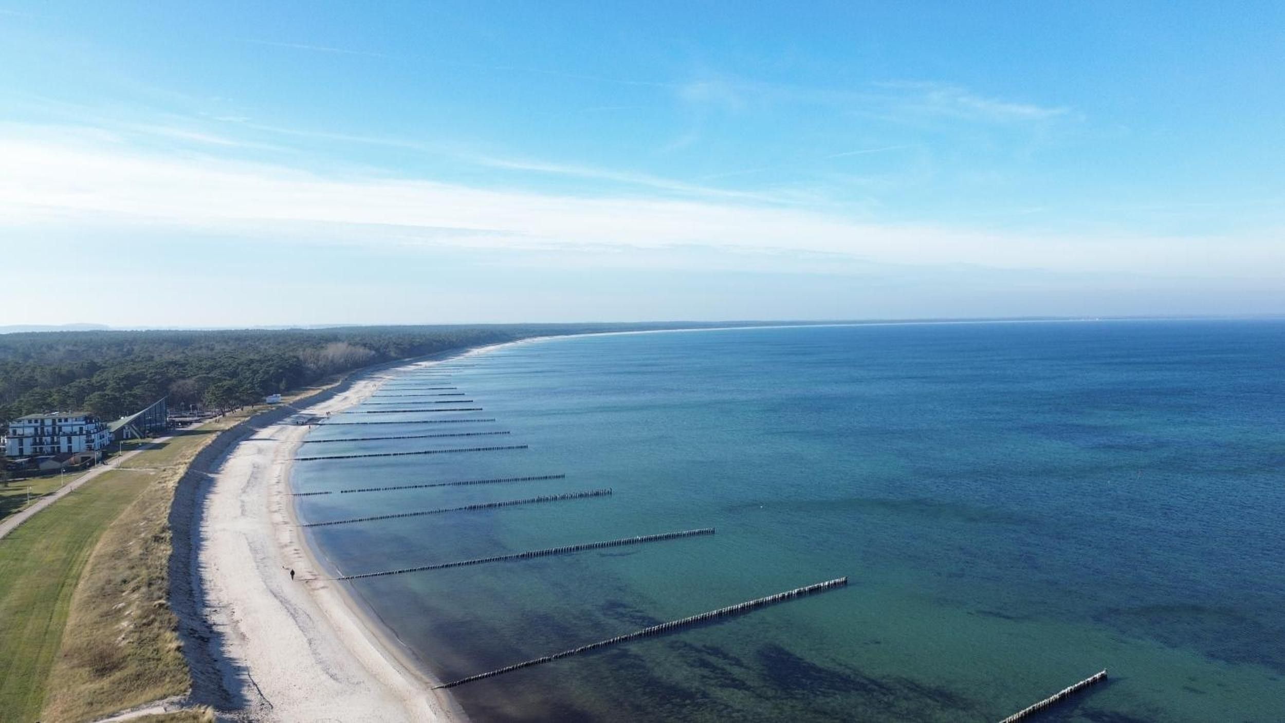 Un paysage côtier avec une plage de sable, un océan bleu limpide et une zone boisée en arrière-plan.