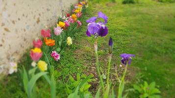 Een tuin met verschillende bloemen en planten, een gazon en een gebouw op de achtergrond.
