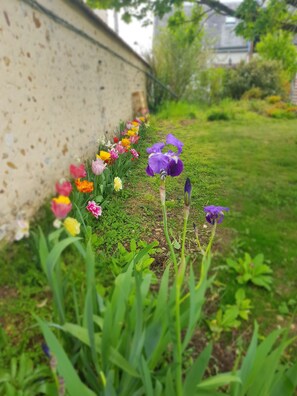 A garden with a variety of flowers and plants, a grassy area, and a building in the background.
