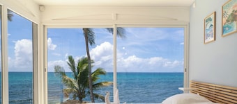 Spacious Villa Bleu de Bleu with a stunning sea view and walking access to the b