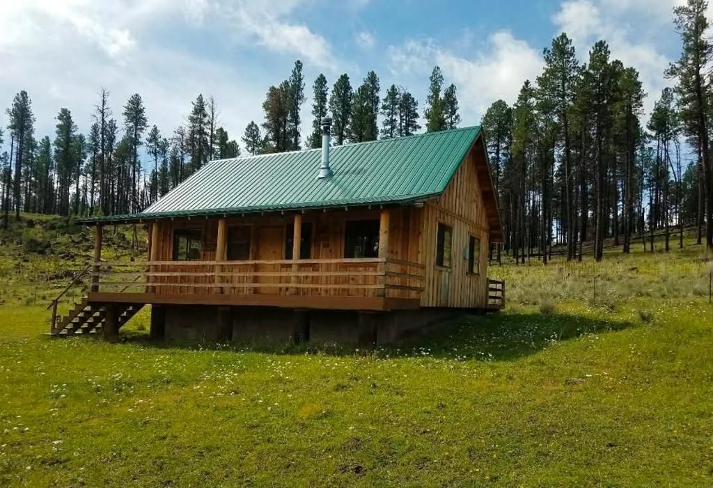 A wooden cabin with a green roof, surrounded by a grassy field and tall pine trees.
