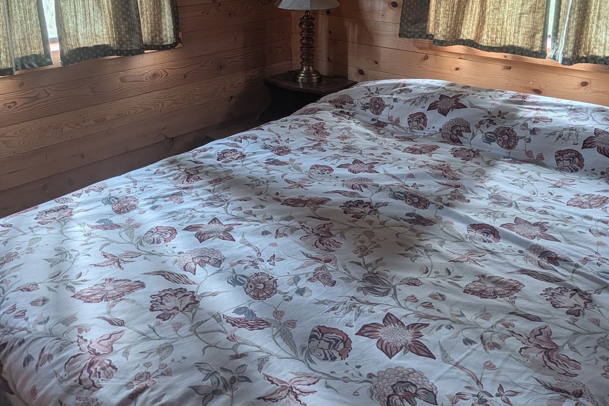 A wooden room with a bed, curtains, a lamp, and a framed picture on the wall.