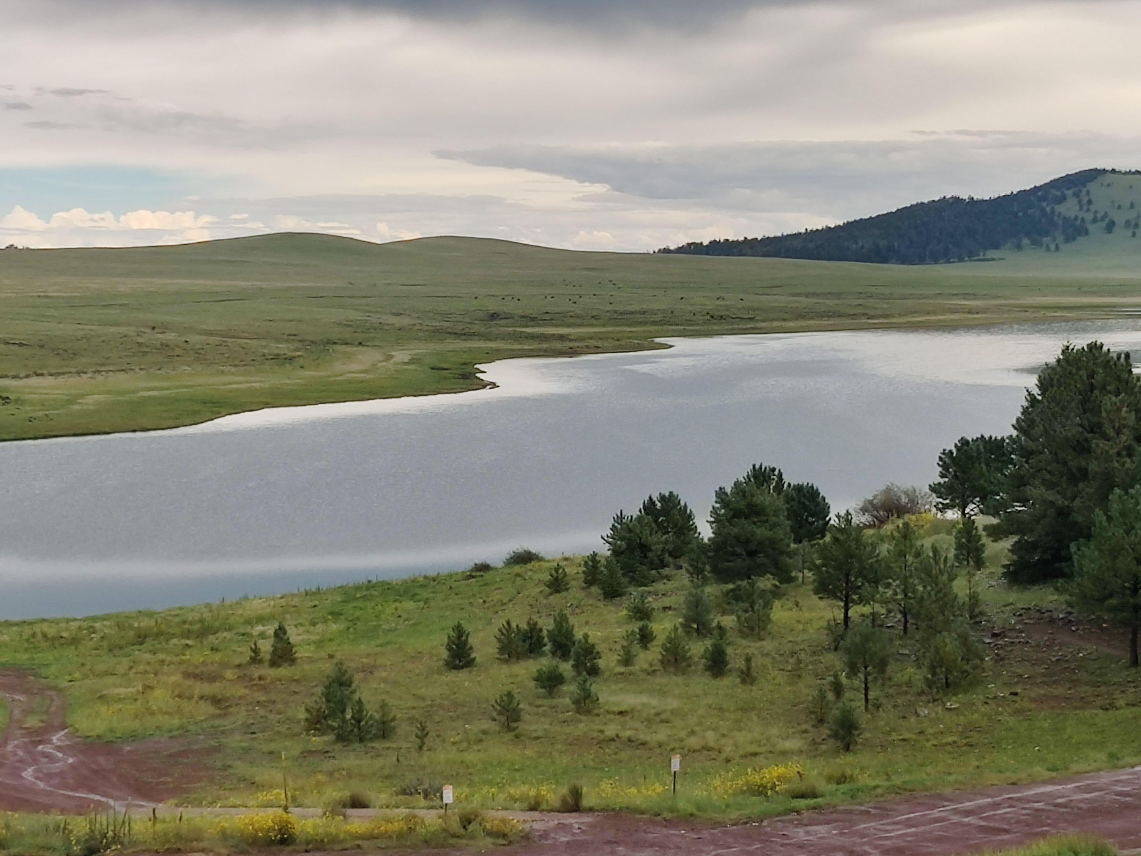 Un lac entouré de champs verdoyants et d’arbres, avec une route au premier plan.