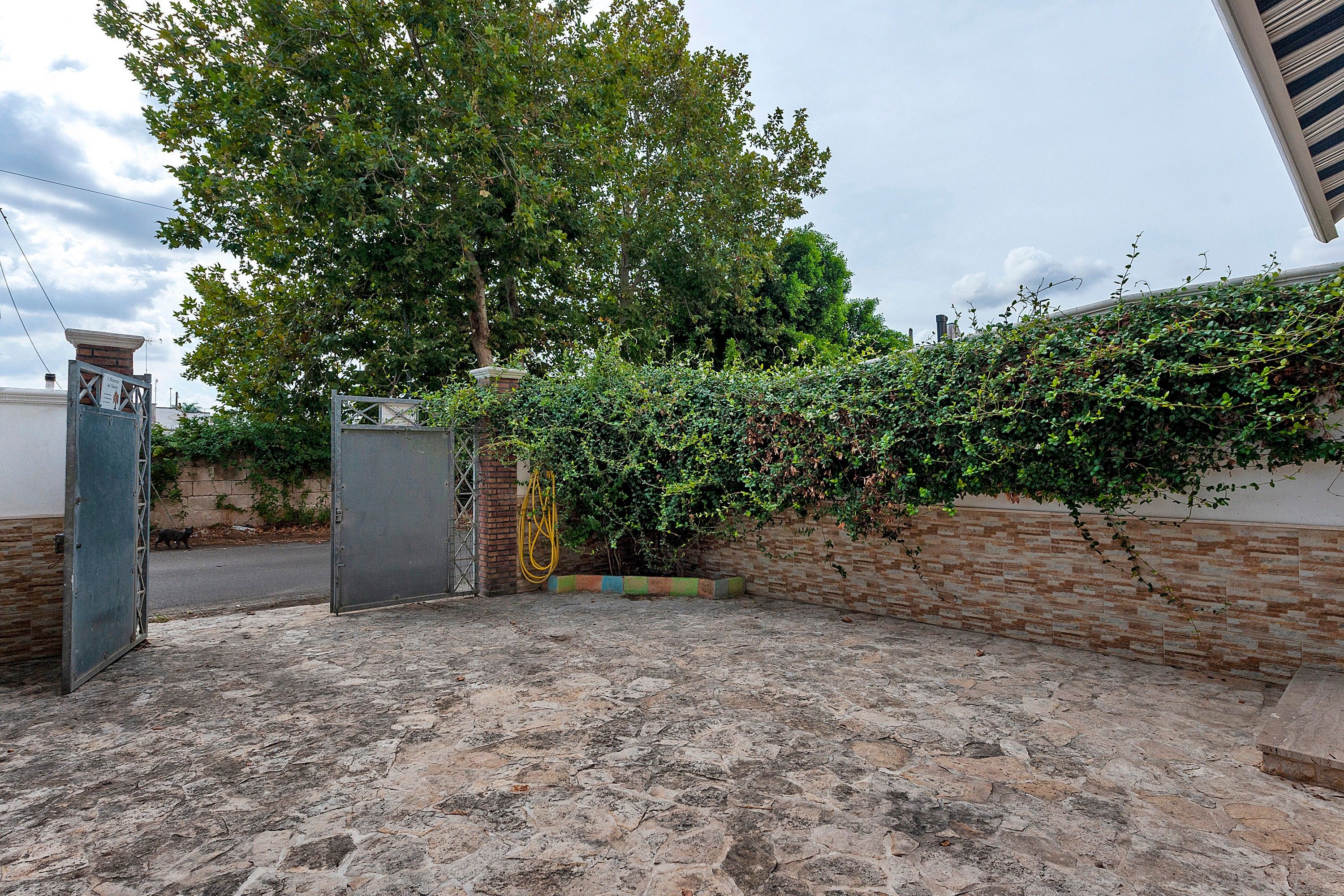 A paved courtyard with a metal gate, a tree, and a brick wall.