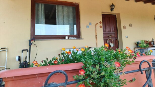 A building with a large window, a door, and a welcome sign. There are flower pots with plants and a metal railing. - Apartment 'Il Melarancio Bb' with Shared Garden, Wi-Fi and Air Conditioning (Monterosi)