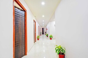 A corridor with doors on both sides, potted plants, and a ceiling with recessed lighting.