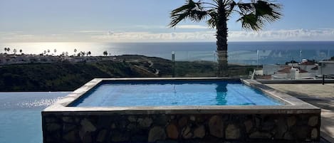 A swimming pool with a palm tree, a clear sky, and a distant view of the ocean.