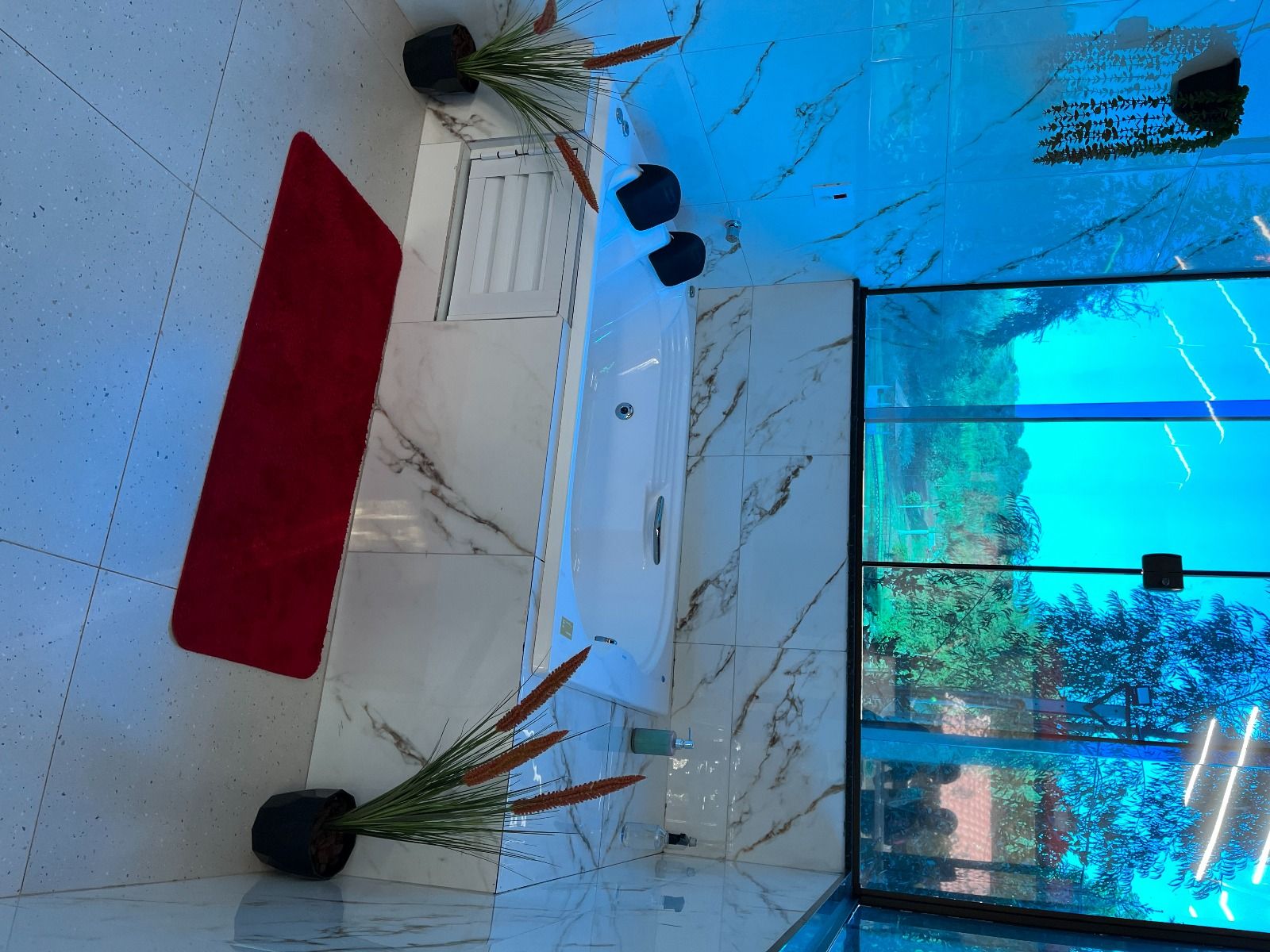 Un vestíbulo con alfombra roja, plantas en macetas, piso de mármol y un muro de cristal con vistas a árboles.