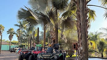 Fileira de veículos todo-terreno estacionados sob palmeiras.