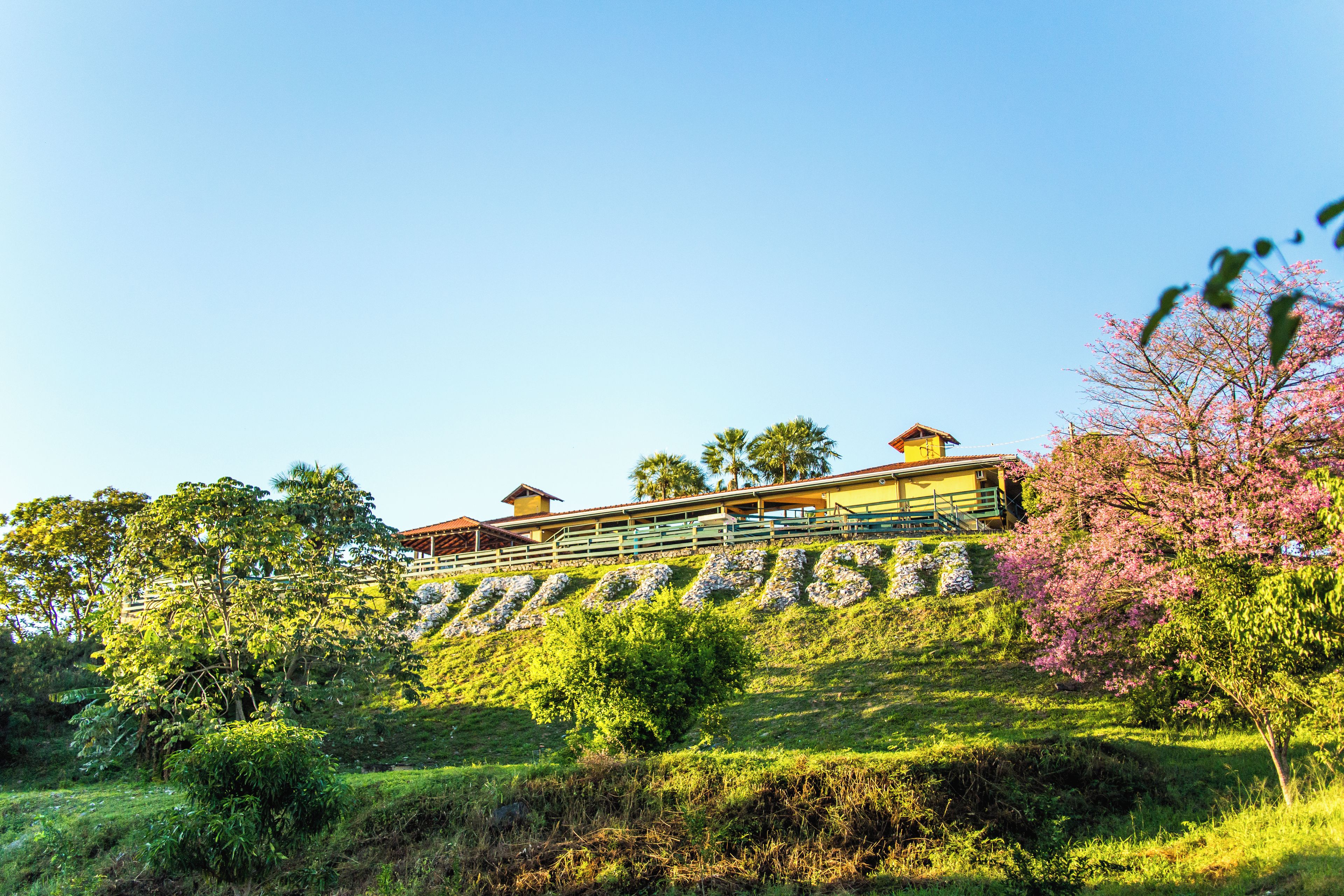 A hillside property with a large building featuring multiple levels and a prominent staircase.