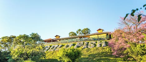 A hillside property with a large building featuring multiple levels and a prominent staircase.