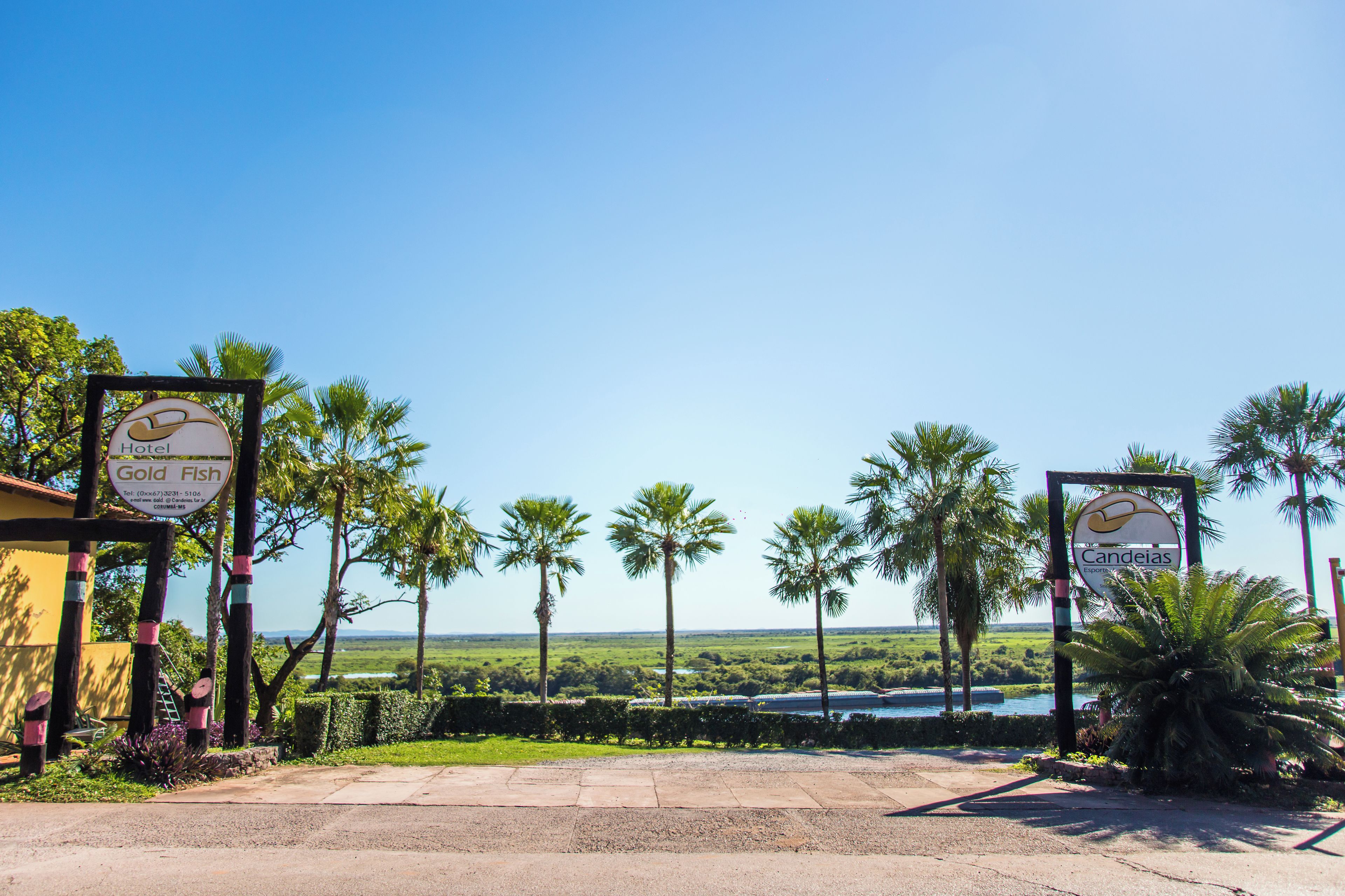 A hotel entrance with palm trees and a view of a water body.