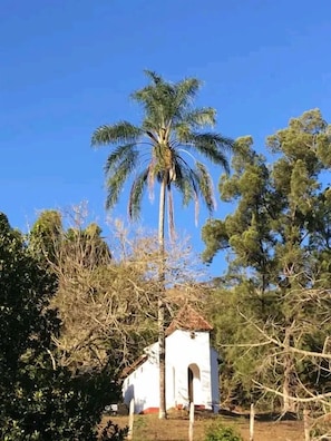 A small white building with a red roof, surrounded by trees and a palm tree. - Fazenda Hotel Jatahy  (Paraíba do Sul)