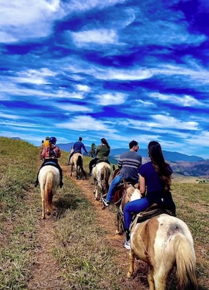 A group of people horseback riding on a trail with a clear sky. - Fazenda Hotel Jatahy  (Paraíba do Sul)