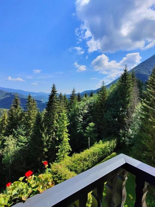 Un balcón con vista a una cadena montañosa boscosa.