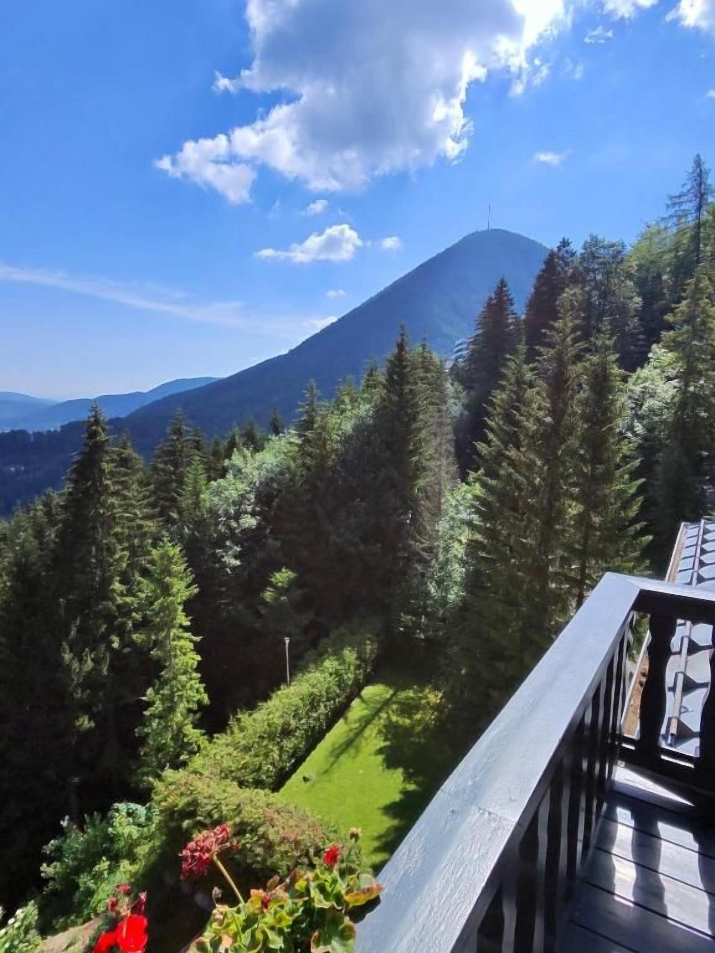Paisaje montañoso con cielo despejado, bosque denso y una terraza de madera.