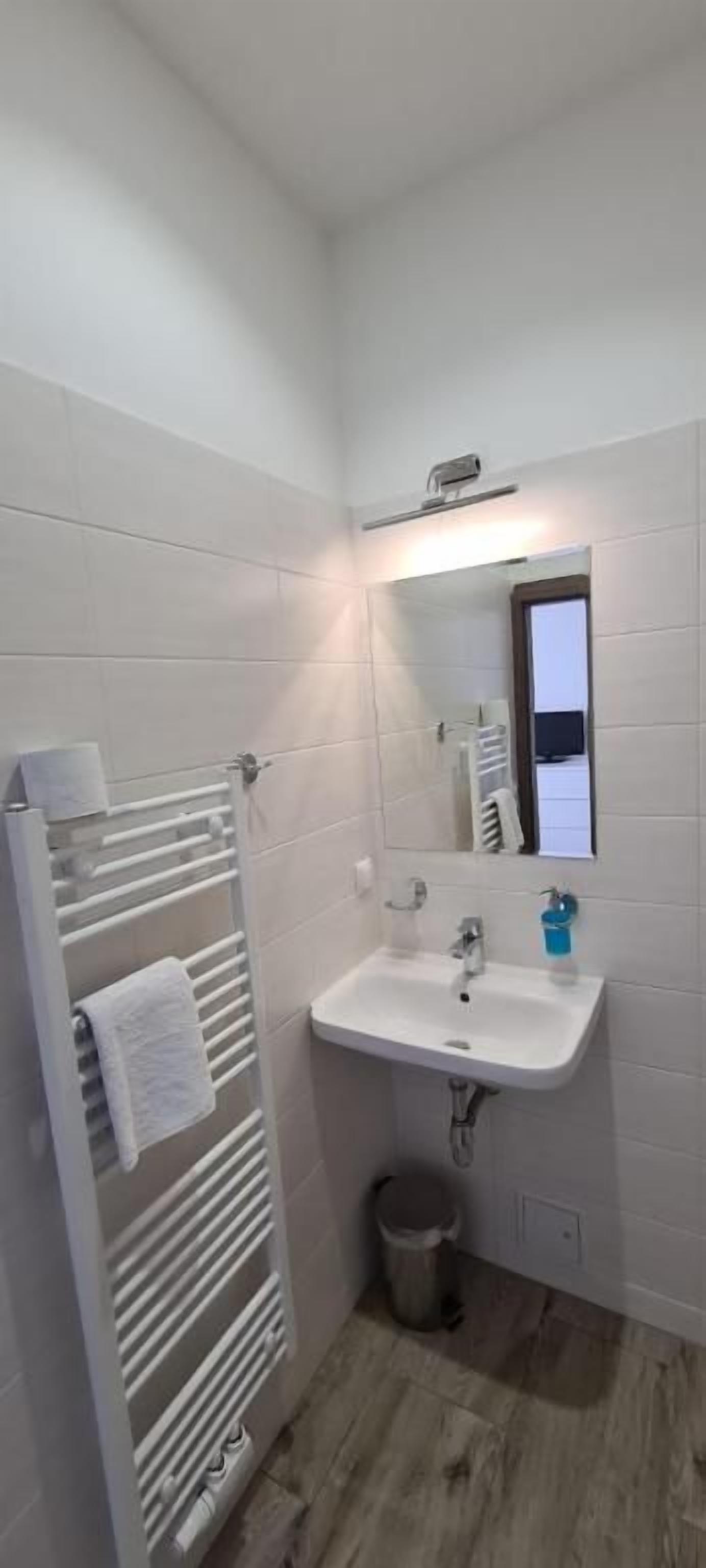 Un baño pequeño con un lavamanos blanco, un espejo y un perchero para toallas.